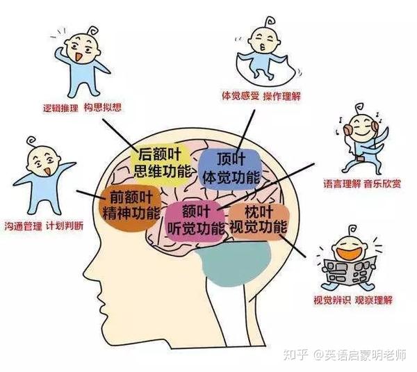 幼儿英语启蒙——第二语言习得论的关键期