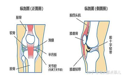 人老腿先衰老人保养膝关节有讲究