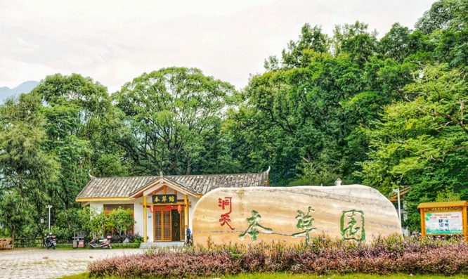 i宁德仁心善根汇百草走进洞天本草园开启一段灵性的修行