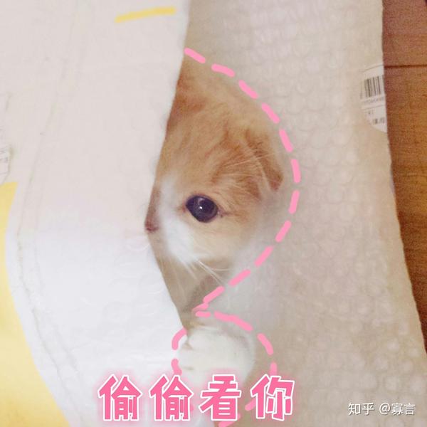 有什么适用于和老公/男票撒娇的可爱表情包?