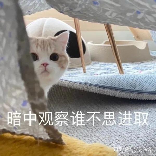 2022考研表情包,正在进行中