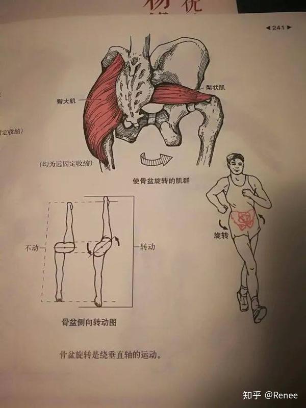 怎么跑步才能不伤膝盖?