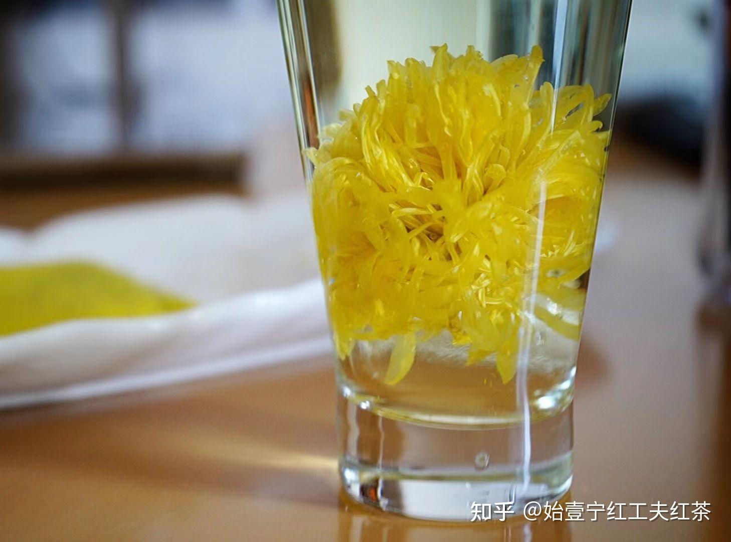 菊花茶对眼睛好我懒得泡茶可以直接吃菊花吗