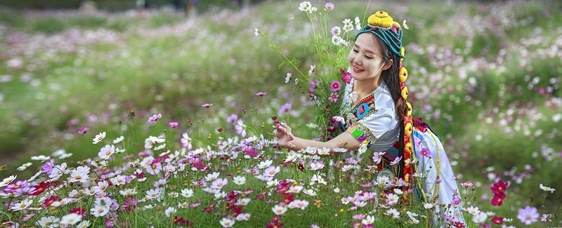 可可托海的牧羊人的歌词美学