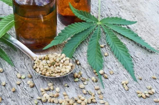 美国医用汉麻合法化中国紧随其后