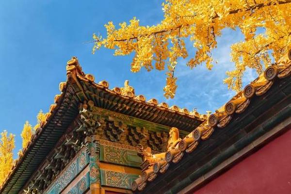 或许是因为有了故宫长城,北京的秋天,自带一种王者气度.
