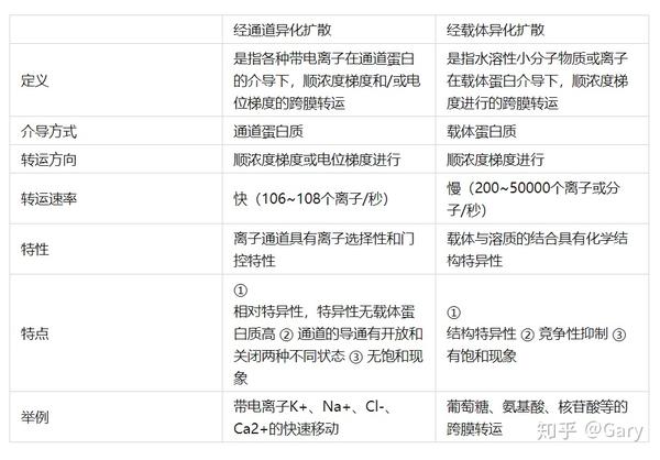 16.经载体易 化扩散