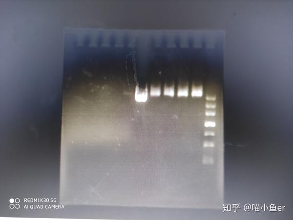 用的4500的marker,左面是另一个同学的,右边四个是一样的,提出来的