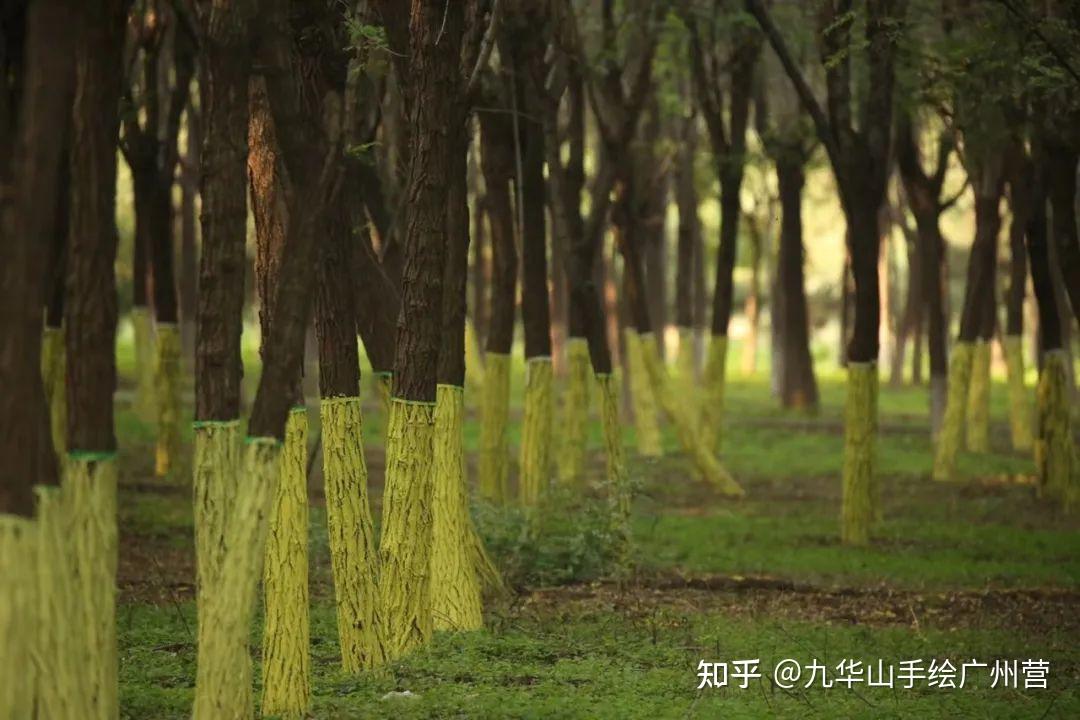 北京首个碳中和主题公园温榆河公园未来智谷