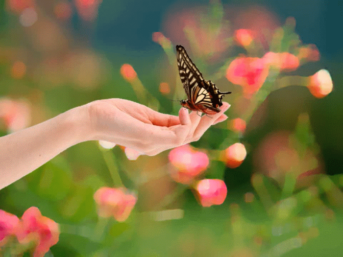 that you can remember how precious you are 如花美眷 似水流年 任