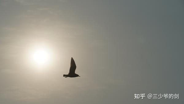 人生无常 庆幸自己还活着