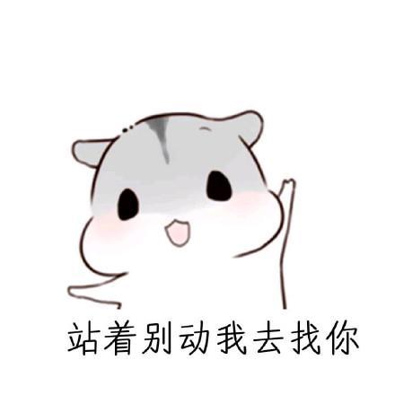 可爱小仓鼠表情包大合集:怎么还没有老公消息,手机是不是坏掉了