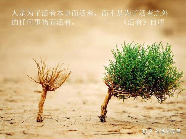 余华《活着》,生而喧哗,生而孤独,三感让你看懂真正的人生