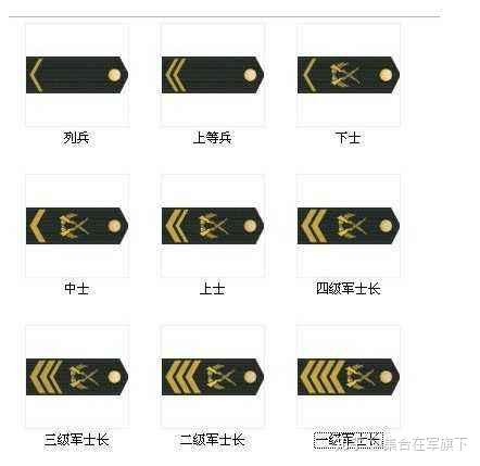 部队里衔称怎么分,科普一下我国军衔,长知识