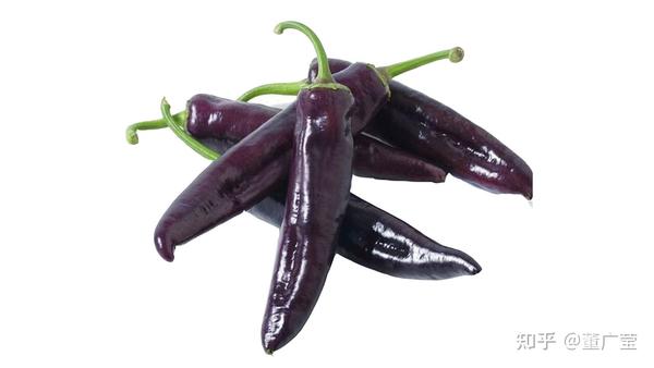 紫尖椒富含花青素,维生素c,含有较多抗氧化物质,含有丰富的维生素等