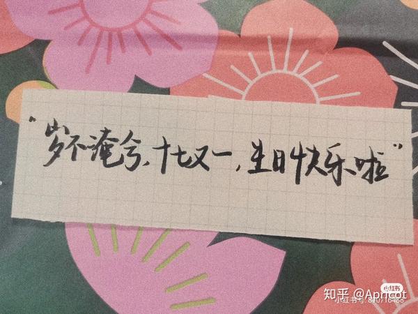 岁不淹兮,十七又一,生日快乐啦