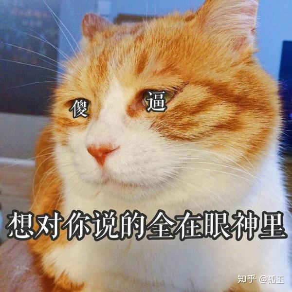 丑人多作怪啊←_←)