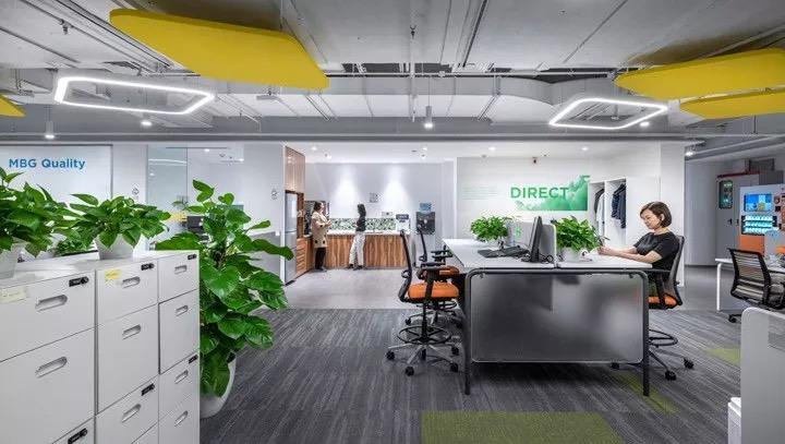 办公室绿植装饰让你置身于自然之中