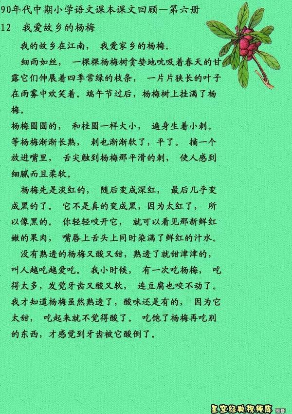 我爱故乡的杨梅