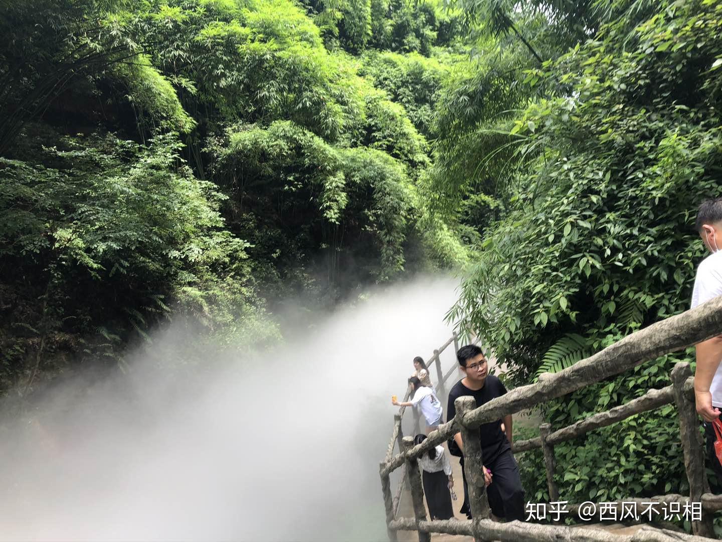 成都邛崃川西竹海一日游邛崃旅游景点