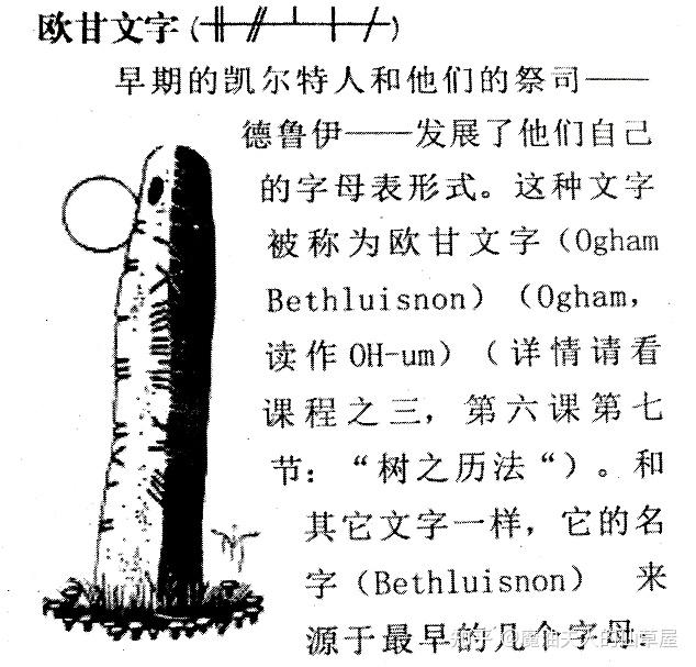 树的魔法001欧甘树文丨跟随德鲁伊进入神奇的森林秘境