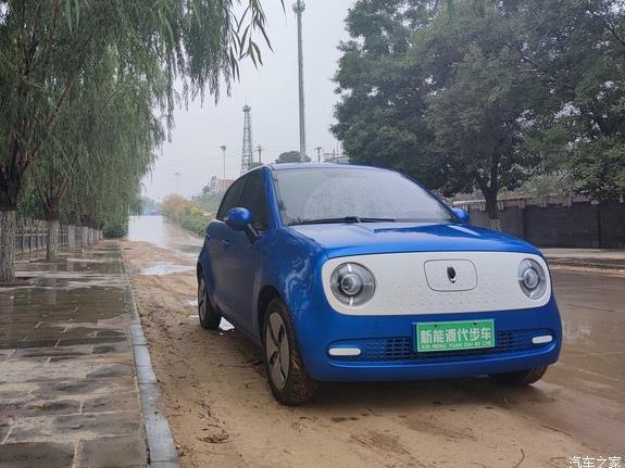 下雨天了怎么办不要怕我有欧拉黑猫