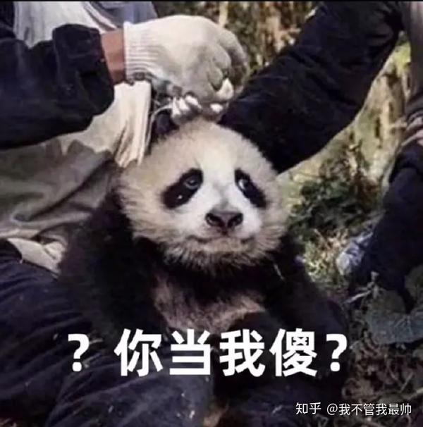 你有哪些近期笑到肚子疼的搞笑图片?(一)