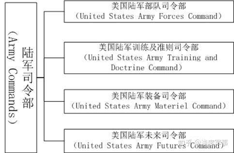 3美军编制结构基本情况陆军部