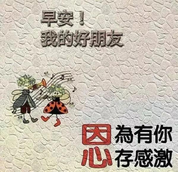早安2021最新图片8月,早安2021最新图片风景 2021年8月3日三伏天早安问候祝福语带字图片 美丽的早安问候语表情
