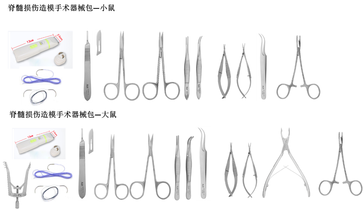 大小鼠脊髓损伤造模实验手术器械整体解决方案介绍