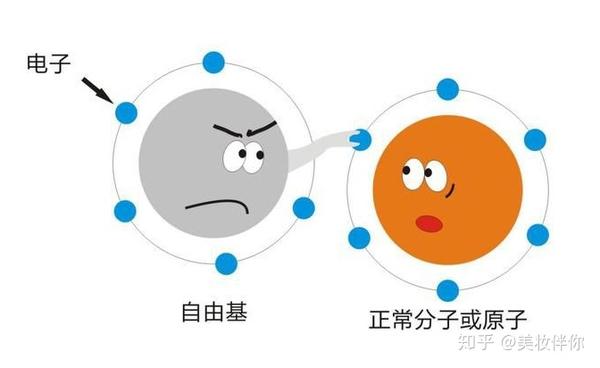 小编还想告诉大家的是我们所说的抗氧化并不是抗氧气, 而是抗自由基