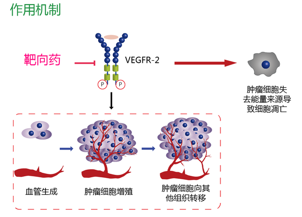 血小板源生长因子pdgf与肿瘤
