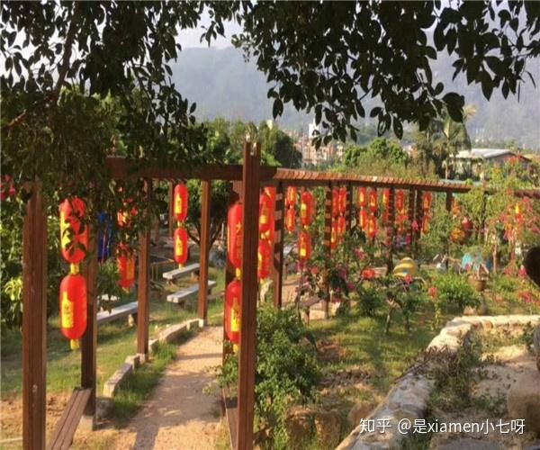 厦门锦仔山生态乐园是集休闲,农家餐,自助烧烤,柴火灶,cs丛林野战等于