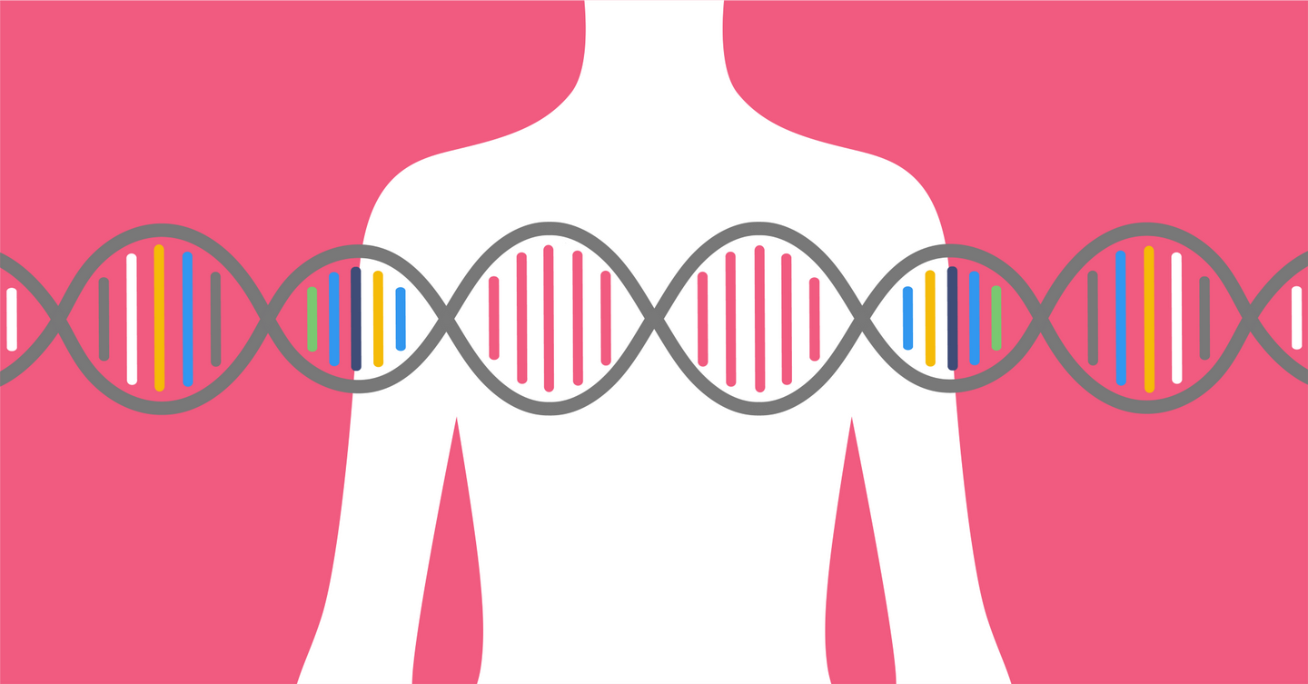 癌症筛查系列 | 这两个基因改变和乳腺癌的遗传风险最