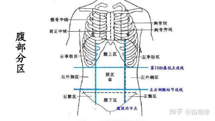 右下腹(右髂:盲肠,阑尾,回肠下端,女性的