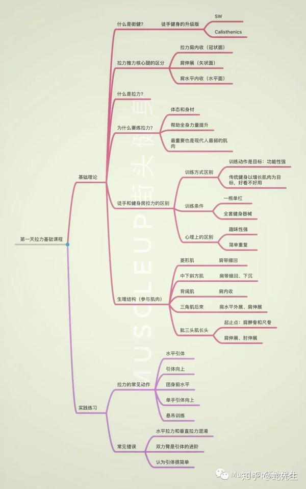 相关的肌肉,所以有人问, 为什么我拉力课程思维导图里没有提到肱二