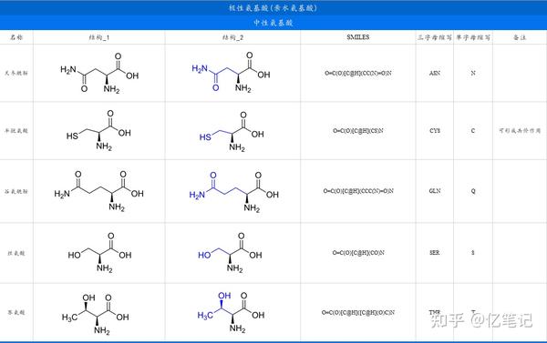 氨基酸 常见的20种氨基酸详解 知乎