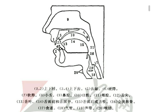 关于beatbox音的思考