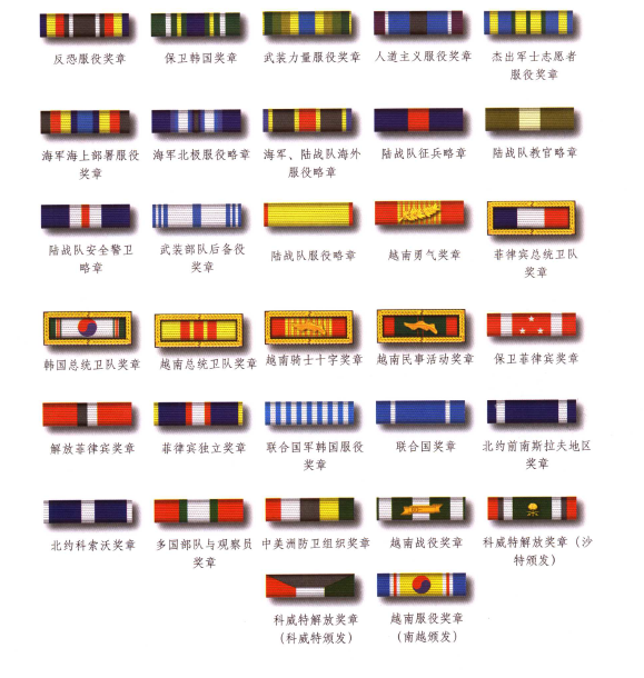 装饰;同时包含美国五大武装(陆,海,空,陆战,海警)的军衔臂章,肩章