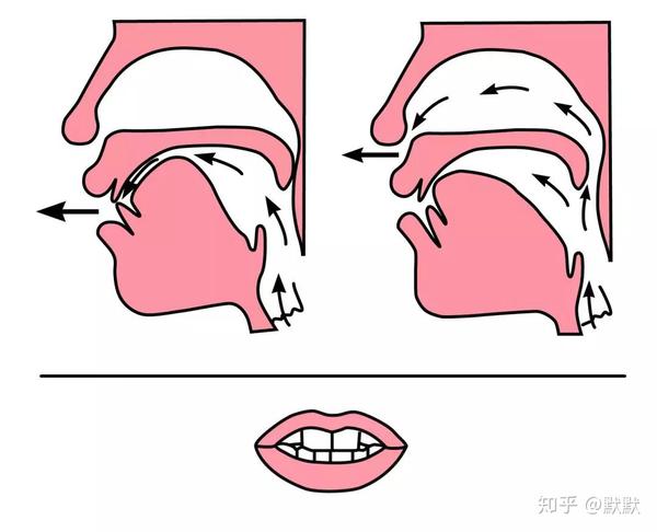 小学汉语拼音前鼻音和后鼻音的发音技巧,值得收藏!