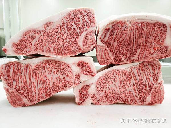 专业牛各部位实拍牛肉分割图