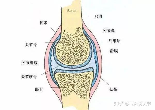 膝盖肿胀疼痛有积液,滑膜炎是什么原因引起的?