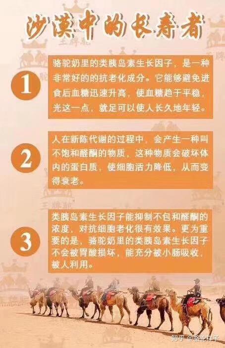 驼奶适合哪些人群?怎样饮用最科学?