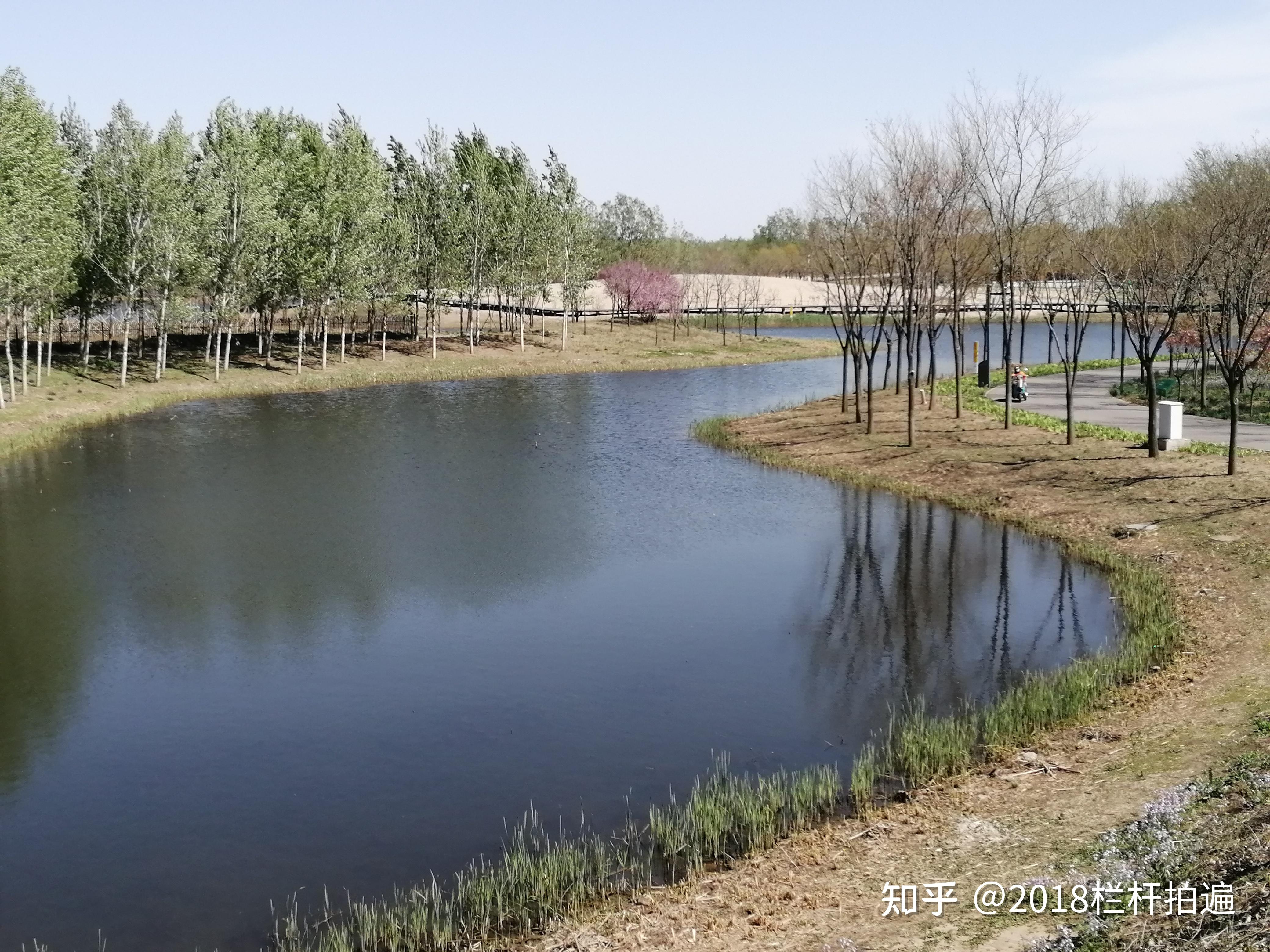 北京东郊湿地公园