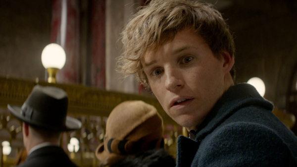 【hp人物评析】纽特·斯卡曼德newt scamander