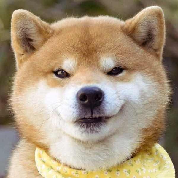 以上,请多赞赞我,敬谢不敏