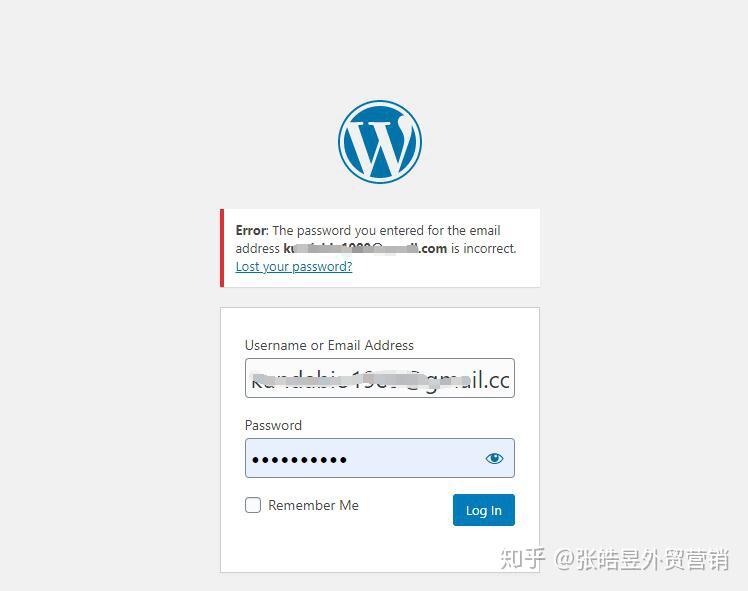 如何轻松安装WordPress主题？探索详细的步骤指南
