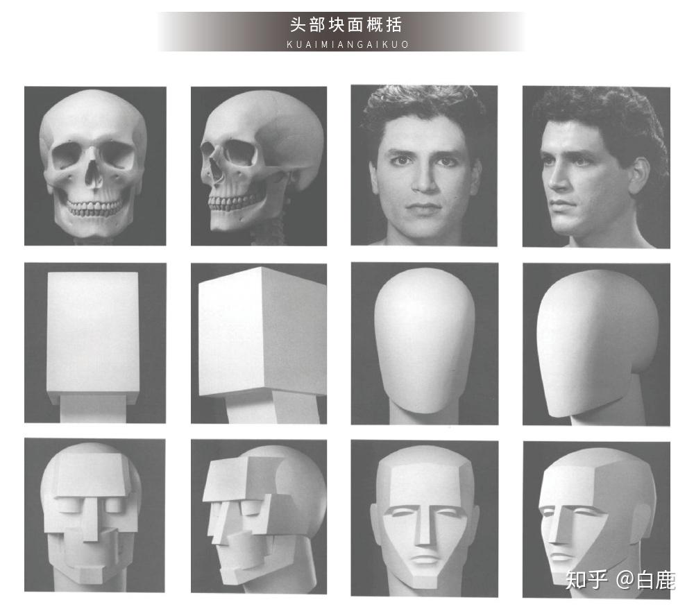 标准男女脸线稿演示五官的解剖结构/块面归纳/ 线稿概括要点美型的三