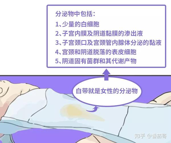 那些关于毛豆的秘密,让我来悄悄告诉你!白带新车网先开一年图片