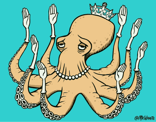 萌萌哒 | 26个可爱又有趣的动物冷知识